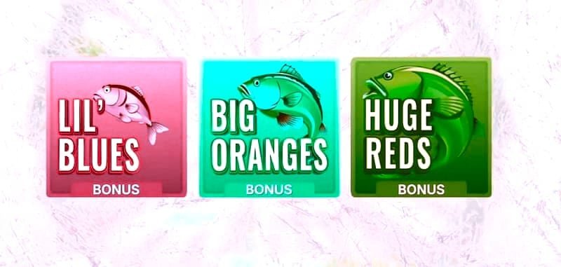 Ice Fishing Live funzionamento – Provably Fair e certificazioni: come si verifica l'equità